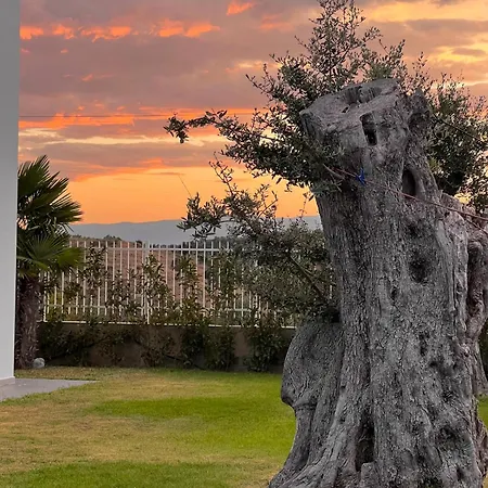 Esmi Durres Kryemedhej